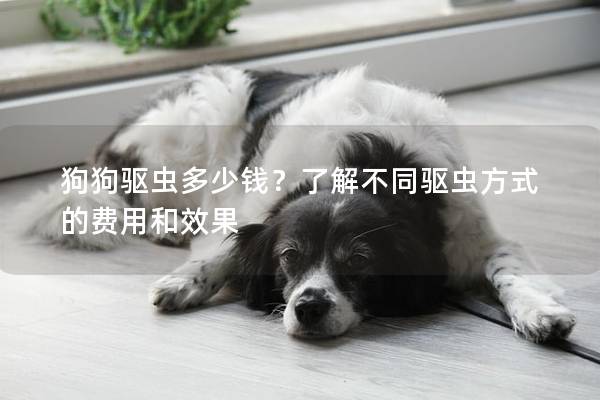 狗狗驅蟲多少錢？了解不同驅蟲方式的費用和效果