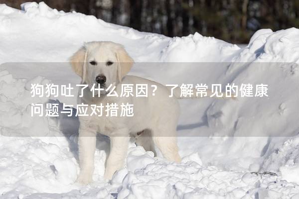 狗狗吐了什么原因？了解常見的健康問題與應對措施