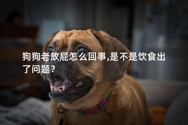 狗狗老放屁怎么回事,是不是飲食出了問(wèn)題？