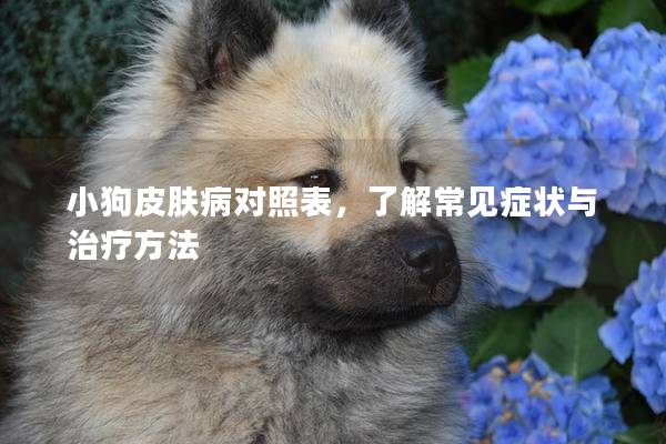 小狗皮膚病對照表，了解常見癥狀與治療方法