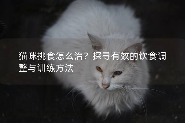 貓咪挑食怎么治？探尋有效的飲食調(diào)整與訓(xùn)練方法