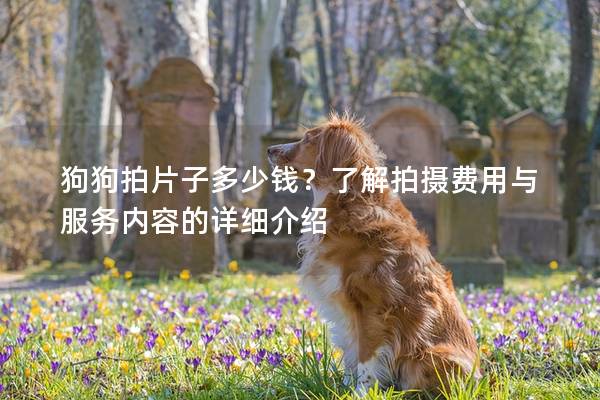 狗狗拍片子多少錢？了解拍攝費(fèi)用與服務(wù)內(nèi)容的詳細(xì)介紹