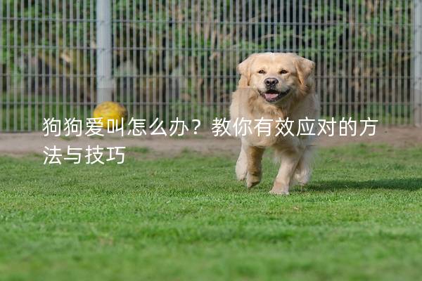 狗狗愛叫怎么辦?教你有效應對的方法與技巧 狗狗愛叫怎么辦?教你有效應對的方法與技巧