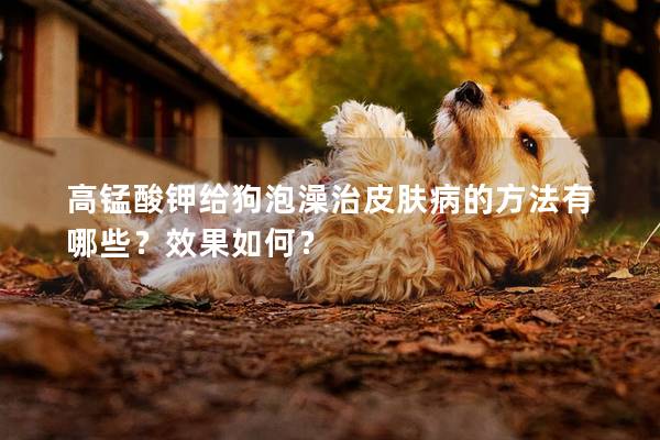 高錳酸鉀給狗泡澡治皮膚病的方法有哪些?效果如何? 高錳酸鉀給狗泡澡治皮膚病的方法有哪些?效果如何?