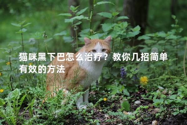 貓咪黑下巴怎么治療？教你幾招簡單有效的方法