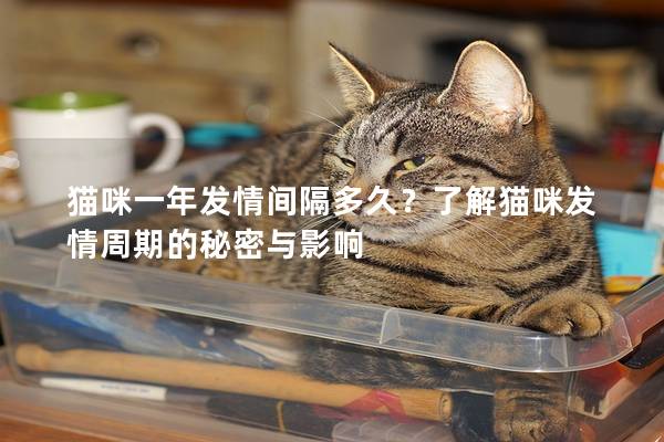 貓咪一年發(fā)情間隔多久？了解貓咪發(fā)情周期的秘密與影響