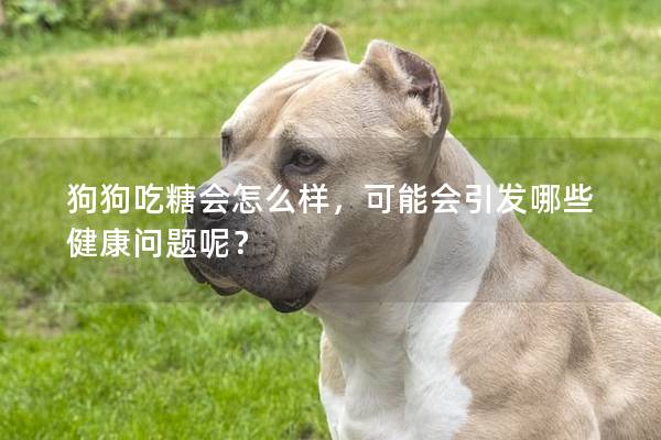 狗狗吃糖會怎么樣，可能會引發哪些健康問題呢？