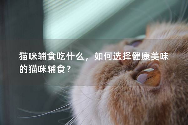 貓咪輔食吃什么，如何選擇健康美味的貓咪輔食？