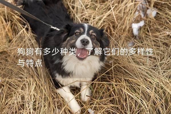 狗狗有多少種類，了解它們的多樣性與特點(diǎn)