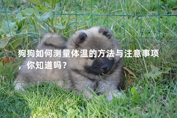 狗狗如何測(cè)量體溫的方法與注意事項(xiàng)，你知道嗎？