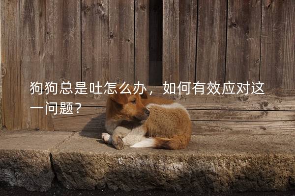 狗狗總是吐怎么辦,如何有效應對這一問題? 狗狗總是吐怎么辦,如何有效應對這一問題?