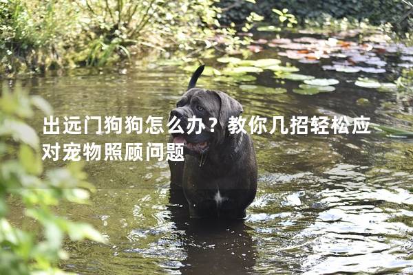 出遠(yuǎn)門狗狗怎么辦?教你幾招輕松應(yīng)對(duì)寵物照顧問題 出遠(yuǎn)門狗狗怎么辦?教你幾招輕松應(yīng)對(duì)寵物照顧問題