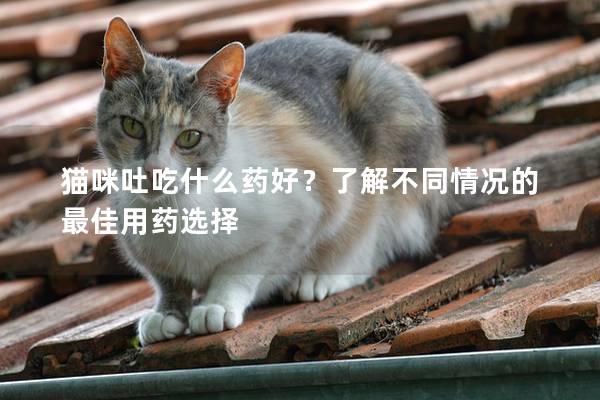 貓咪吐吃什么藥好？了解不同情況的最佳用藥選擇