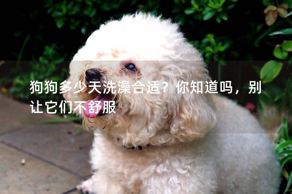 狗狗多少天洗澡合適？你知道嗎，別讓它們不舒服