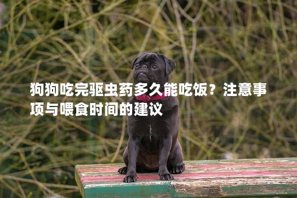 狗狗吃完驅蟲藥多久能吃飯？注意事項與喂食時間的建議