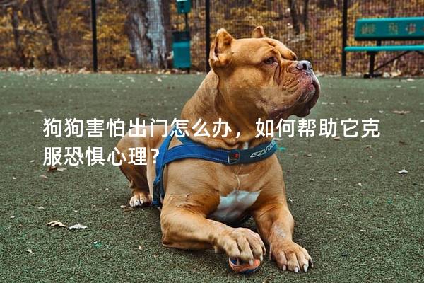 狗狗害怕出門怎么辦,如何幫助它克服恐懼心理? 狗狗害怕出門怎么辦,如何幫助它克服恐懼心理?