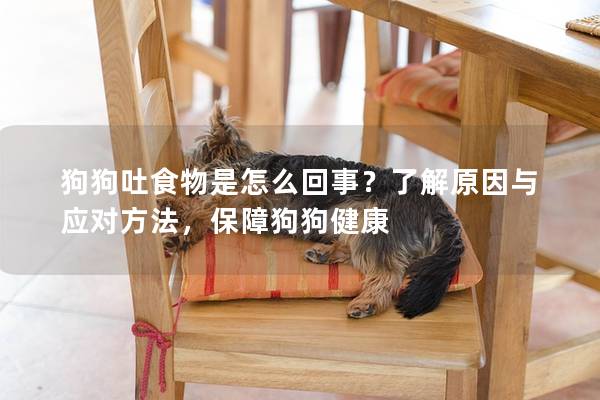 狗狗吐食物是怎么回事？了解原因與應對方法，保障狗狗健康
