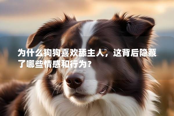 為什么狗狗喜歡舔主人，這背后隱藏了哪些情感和行為？