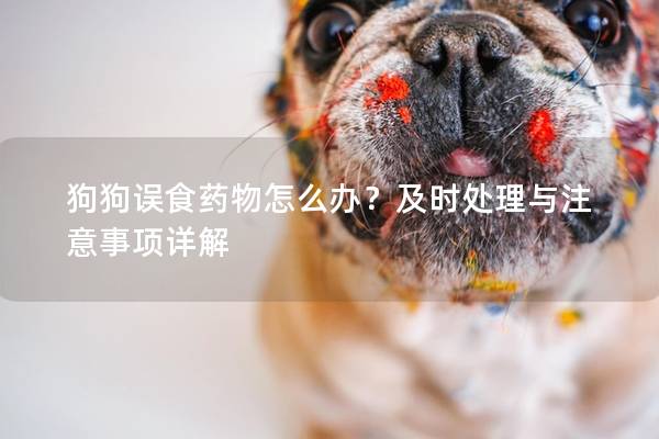 狗狗誤食藥物怎么辦？及時(shí)處理與注意事項(xiàng)詳解