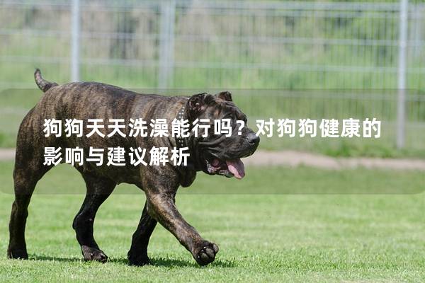 狗狗天天洗澡能行嗎？對狗狗健康的影響與建議解析