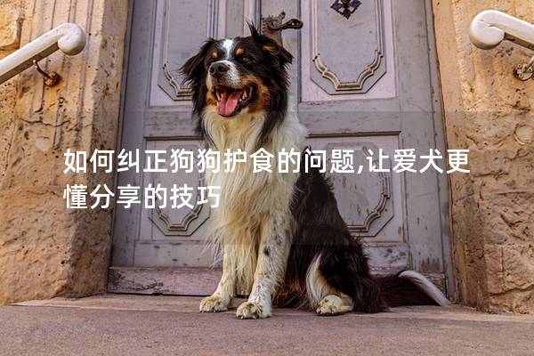 如何糾正狗狗護食的問題,讓愛犬更懂分享的技巧