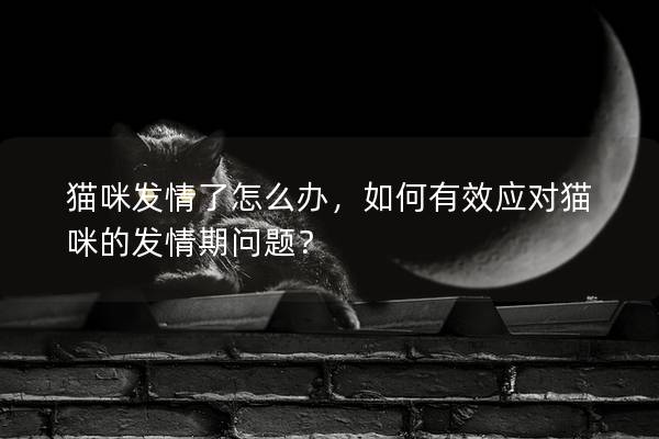貓咪發情了怎么辦，如何有效應對貓咪的發情期問題？