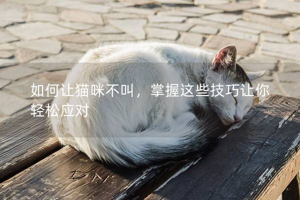 如何讓貓咪不叫，掌握這些技巧讓你輕松應對