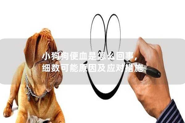 小狗狗便血是怎么回事, 細(xì)數(shù)可能原因及應(yīng)對(duì)措施