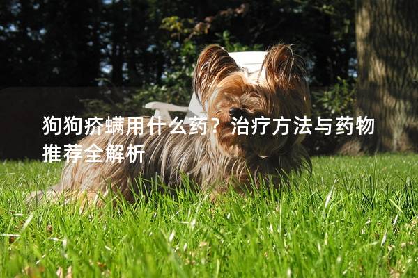 狗狗疥螨用什么藥？治療方法與藥物推薦全解析
