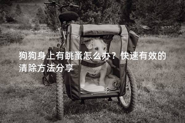 狗狗身上有跳蚤怎么辦？快速有效的清除方法分享