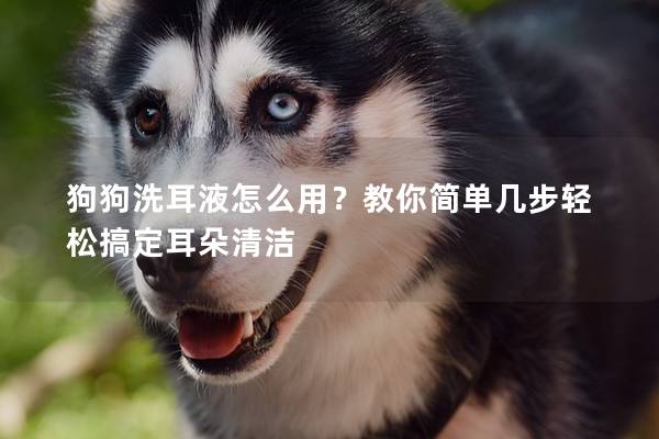 狗狗洗耳液怎么用？教你簡單幾步輕松搞定耳朵清潔
