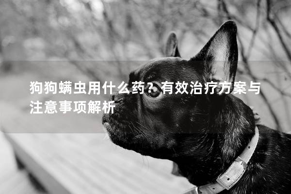 狗狗螨蟲用什么藥？有效治療方案與注意事項解析