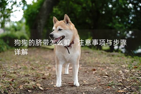 狗狗的臍帶怎么剪，注意事項與步驟詳解