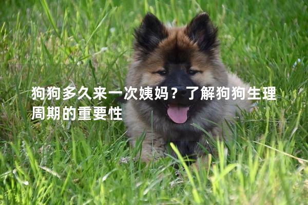 狗狗多久來一次姨媽？了解狗狗生理周期的重要性