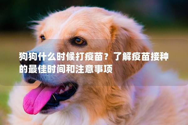 狗狗什么時候打疫苗？了解疫苗接種的最佳時間和注意事項