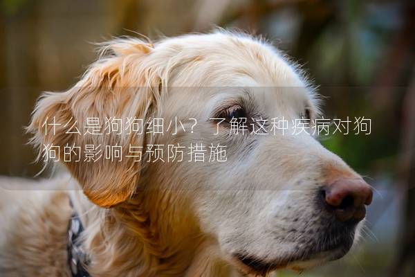什么是狗狗細小？了解這種疾病對狗狗的影響與預防措施