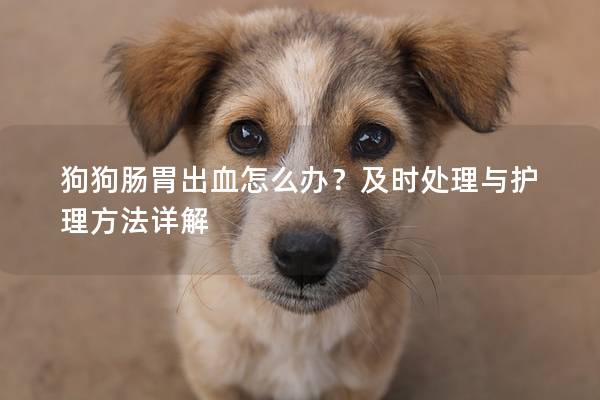 狗狗腸胃出血怎么辦？及時處理與護理方法詳解