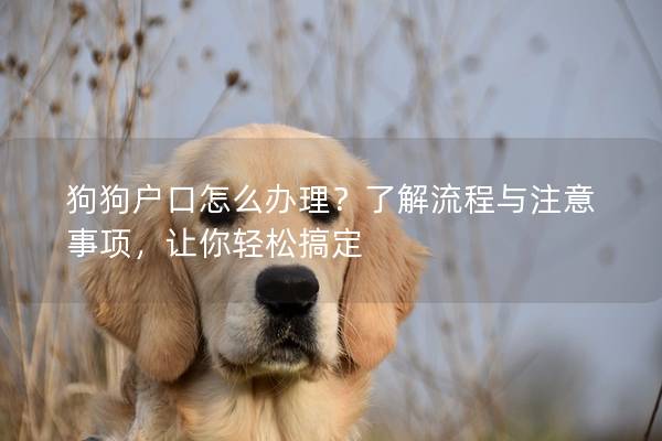 狗狗戶口怎么辦理?了解流程與注意事項,讓你輕松搞定 狗狗戶口怎么辦理?了解流程與注意事項,讓你輕松搞定