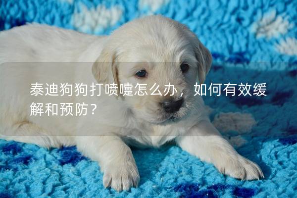泰迪狗狗打噴嚏怎么辦，如何有效緩解和預防？