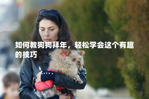 如何教狗狗拜年，輕松學會這個有趣的技巧