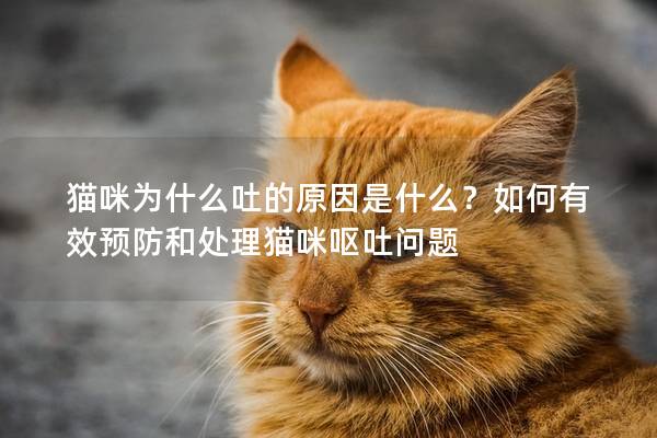 貓咪為什么吐的原因是什么？如何有效預防和處理貓咪嘔吐問題