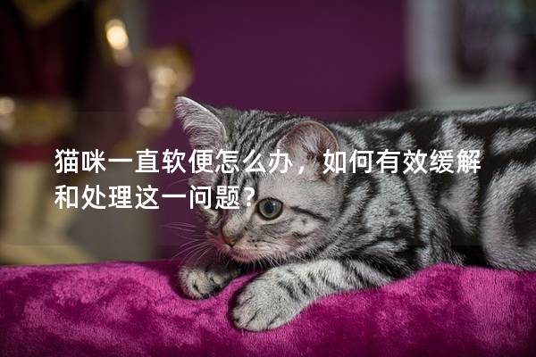 貓咪一直軟便怎么辦，如何有效緩解和處理這一問題？