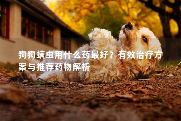 狗狗螨蟲用什么藥最好？有效治療方案與推薦藥物解析