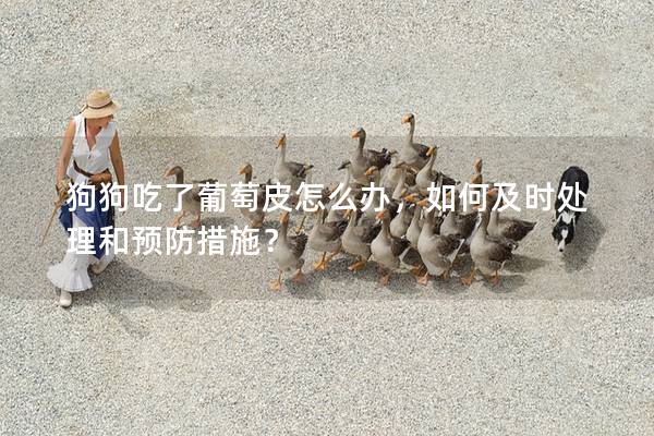 狗狗吃了葡萄皮怎么辦，如何及時處理和預防措施？