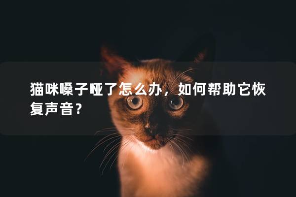 貓咪嗓子啞了怎么辦，如何幫助它恢復聲音？