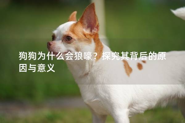 狗狗為什么會狼嚎？探究其背后的原因與意義