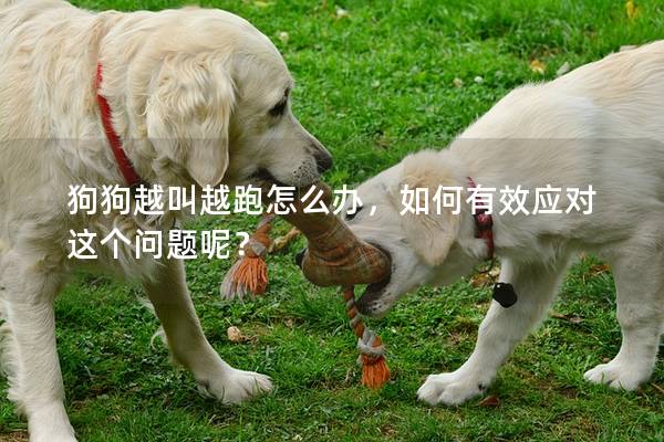 狗狗越叫越跑怎么辦，如何有效應對這個問題呢？