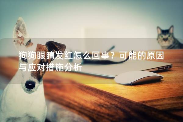 狗狗眼睛發紅怎么回事？可能的原因與應對措施分析