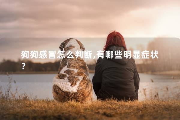 狗狗感冒怎么判斷,有哪些明顯癥狀？
