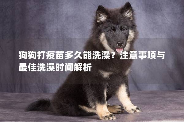 狗狗打疫苗多久能洗澡？注意事項(xiàng)與最佳洗澡時(shí)間解析